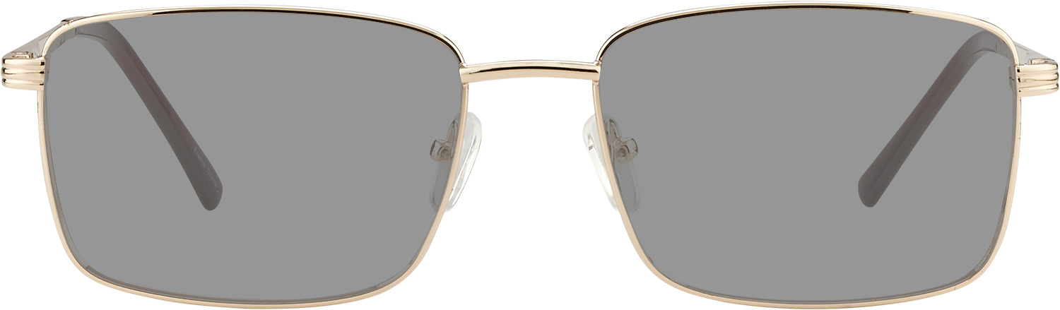 Irving Sunglasses
