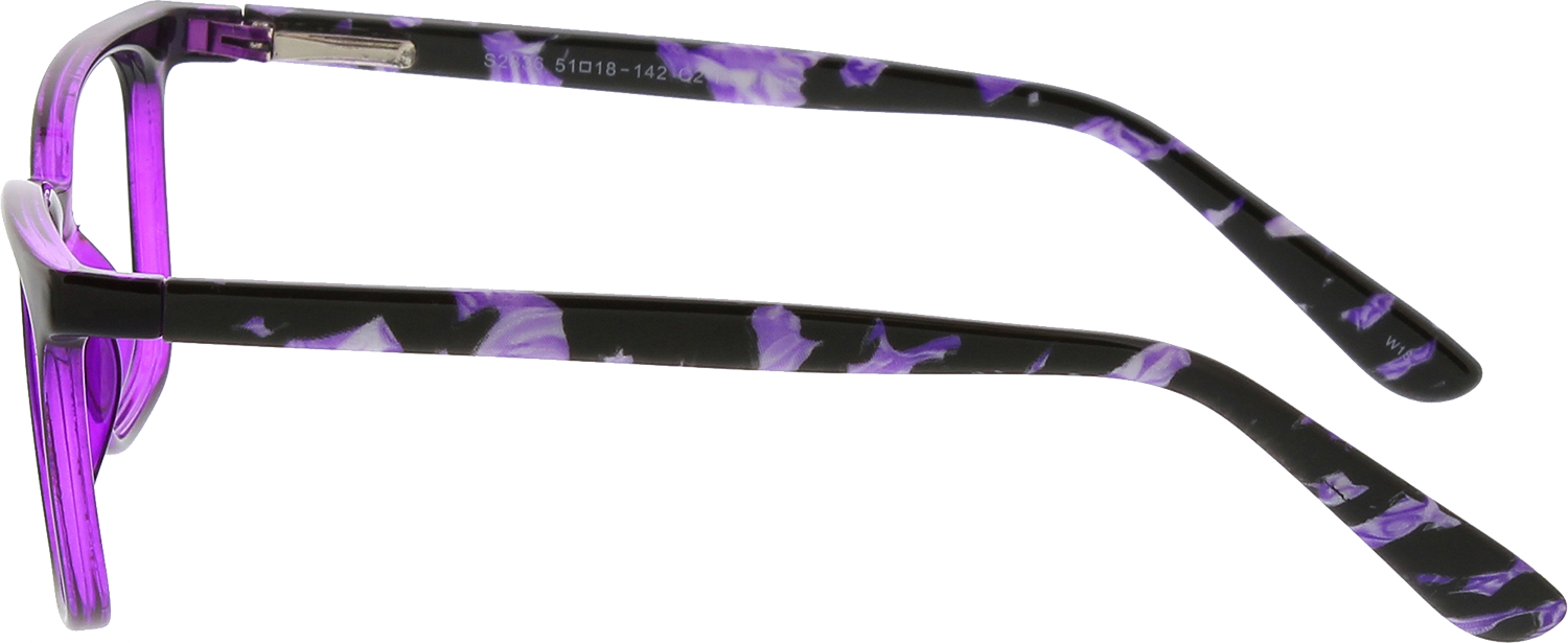 Iris Glasses by 39DollarGlasses.com