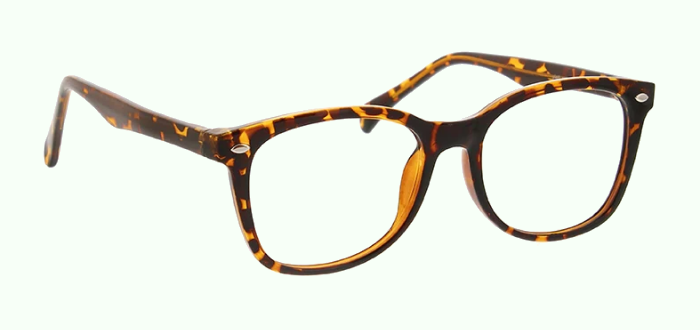 eyeglasses plastic frame